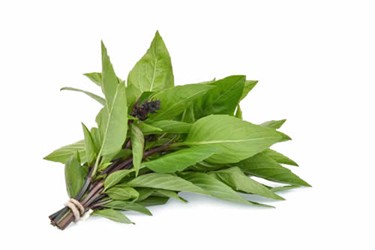 Thai Basil